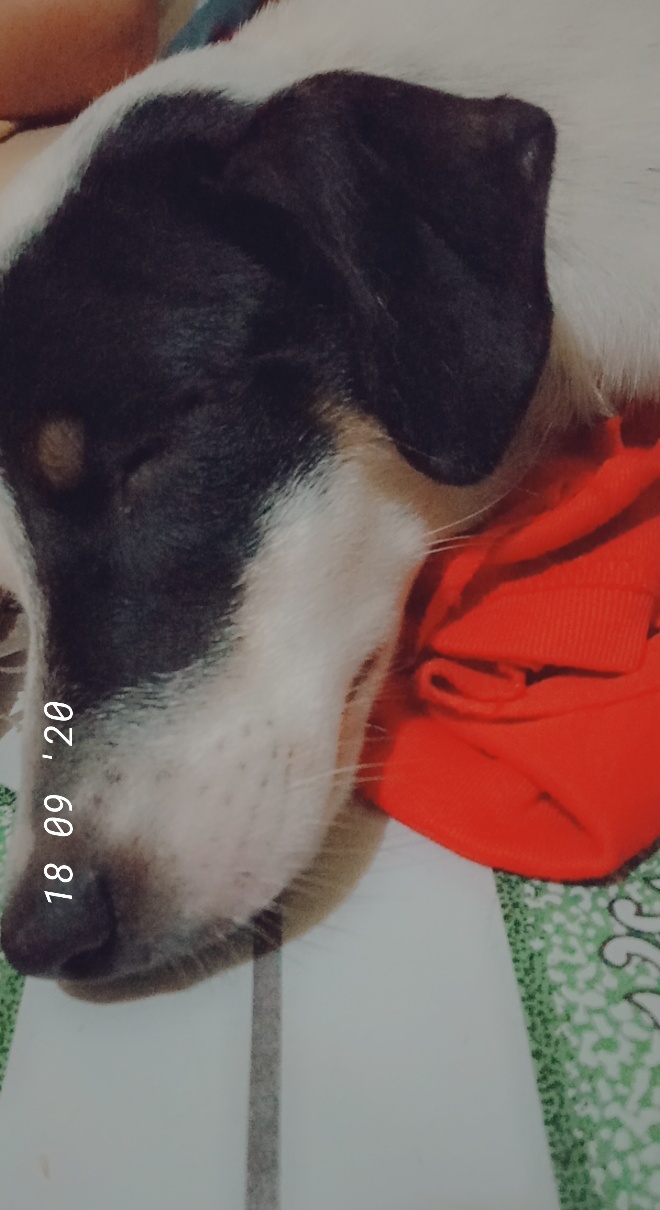 Heart first night with&nbsp;us!